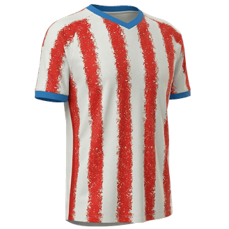 Paraguay team jersey