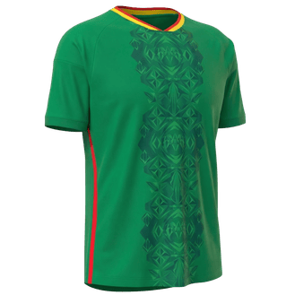 Senegal team jersey