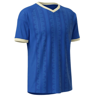 Sweden team jersey